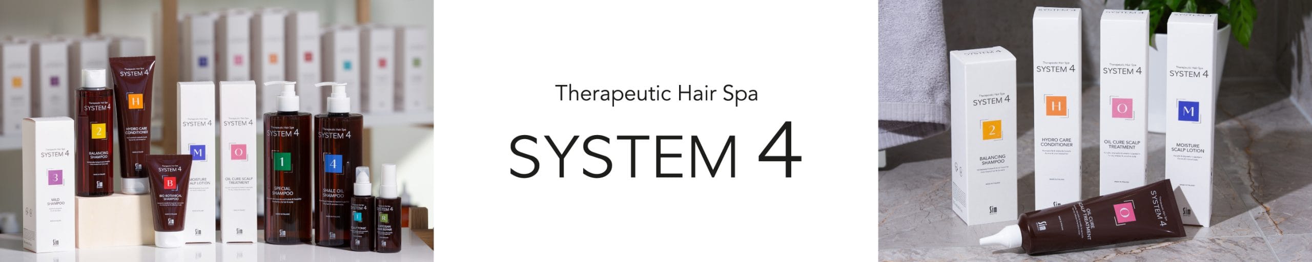 SYSTEM 4